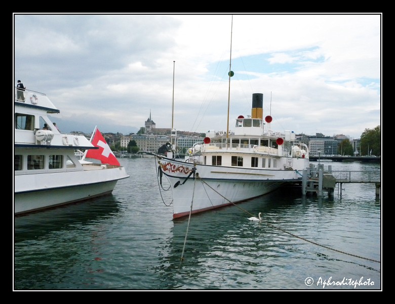 079 Bateaux de la CGN amarrés à la rotonde du Mont Blanc